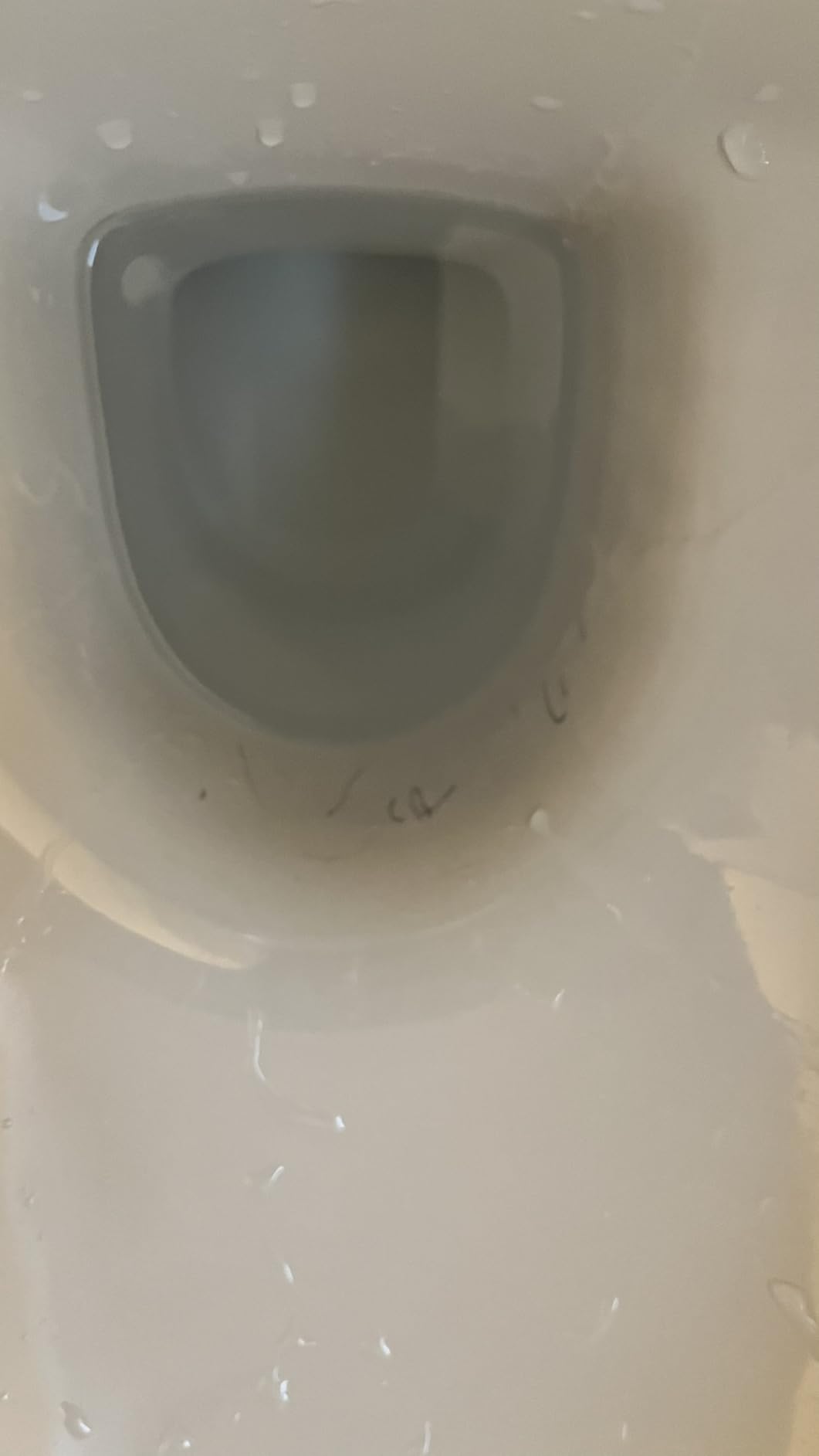 Hygienischer als klassische Bürsten