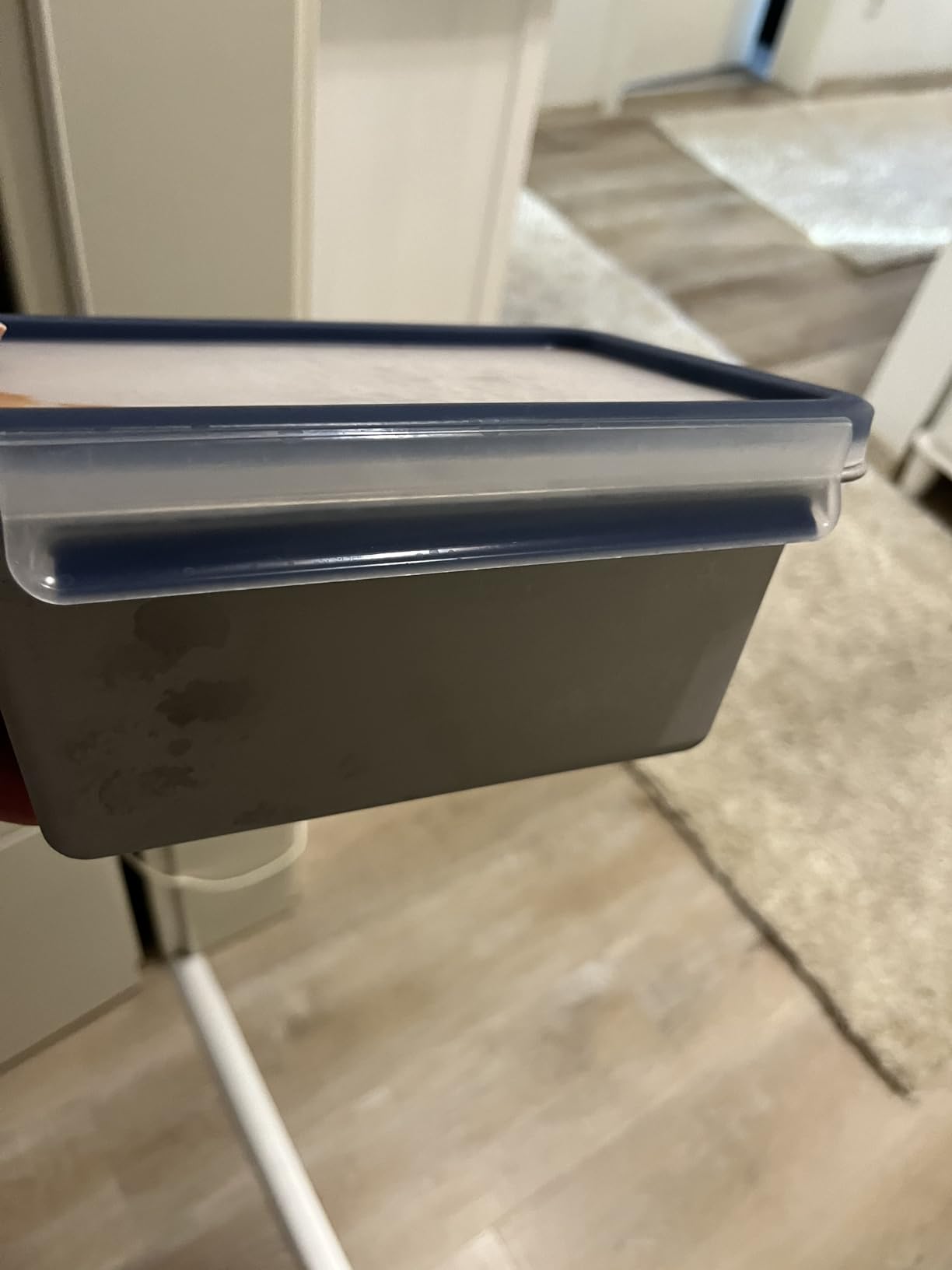 Vom Gefrierfach in den Ofen – genial