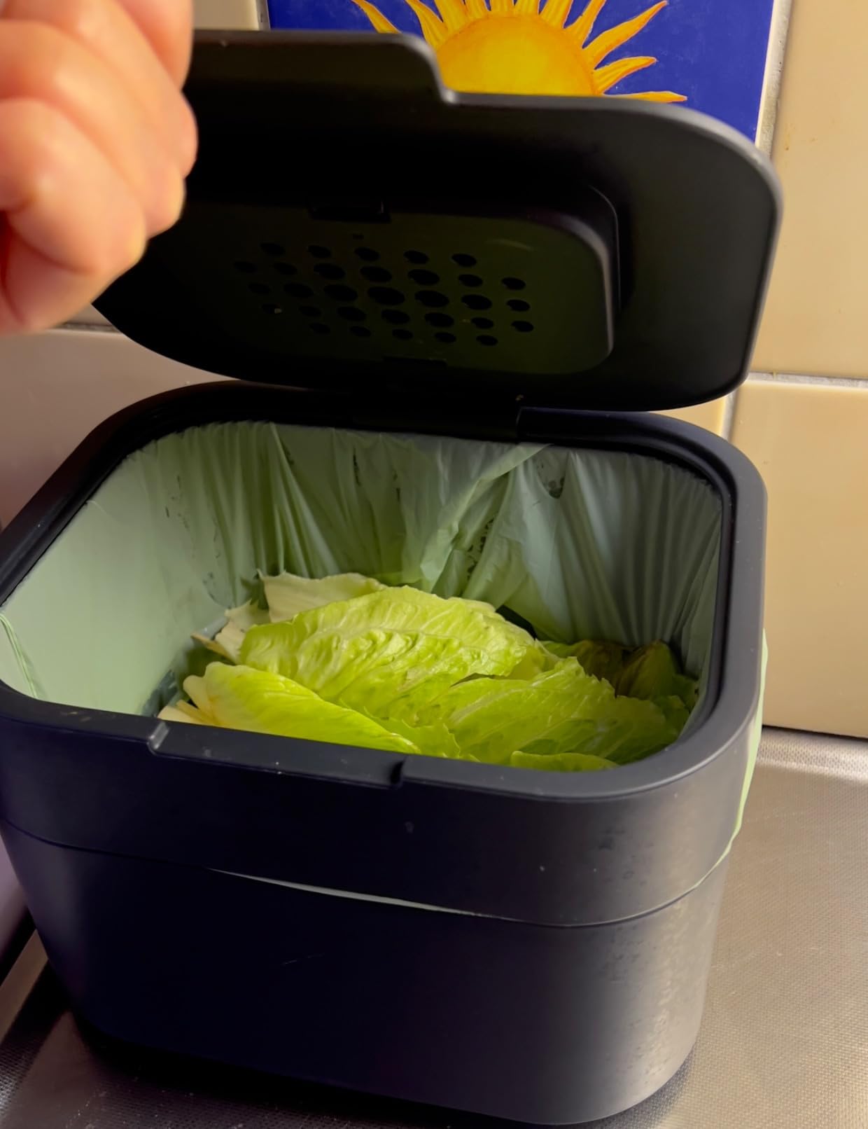 Endlich ein schöner Biomülleimer