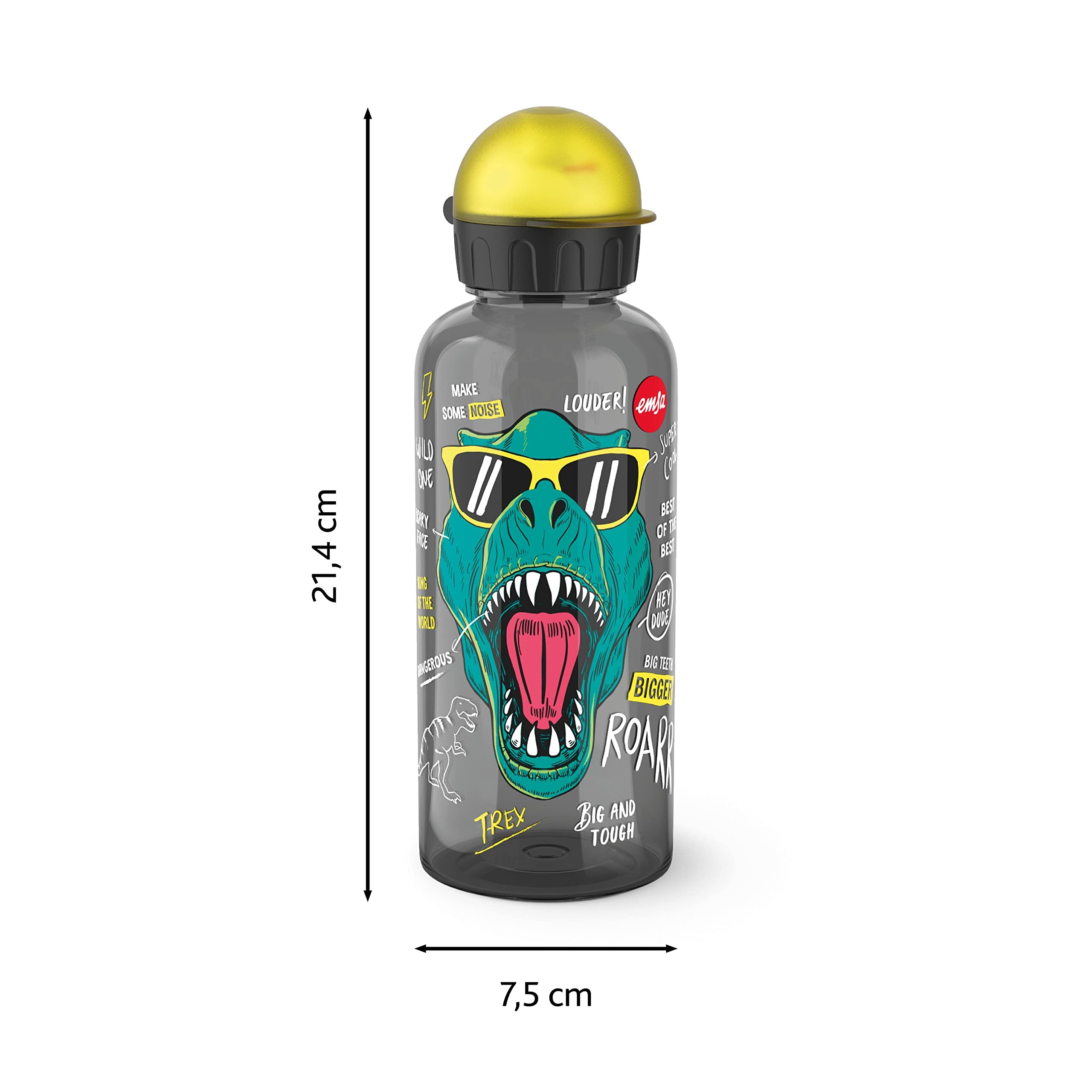 emsa-teens-n30603-tritan-trinkflasche-0-6-l-auslaufsicher-dino-roarr image 2