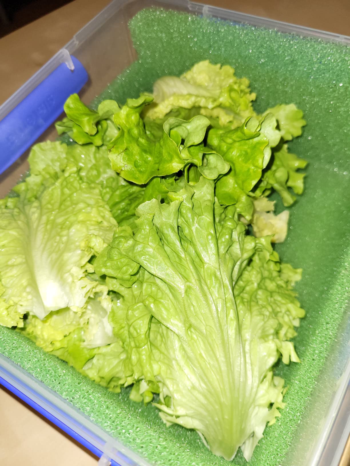 Bewährt sich beim Meal Prep