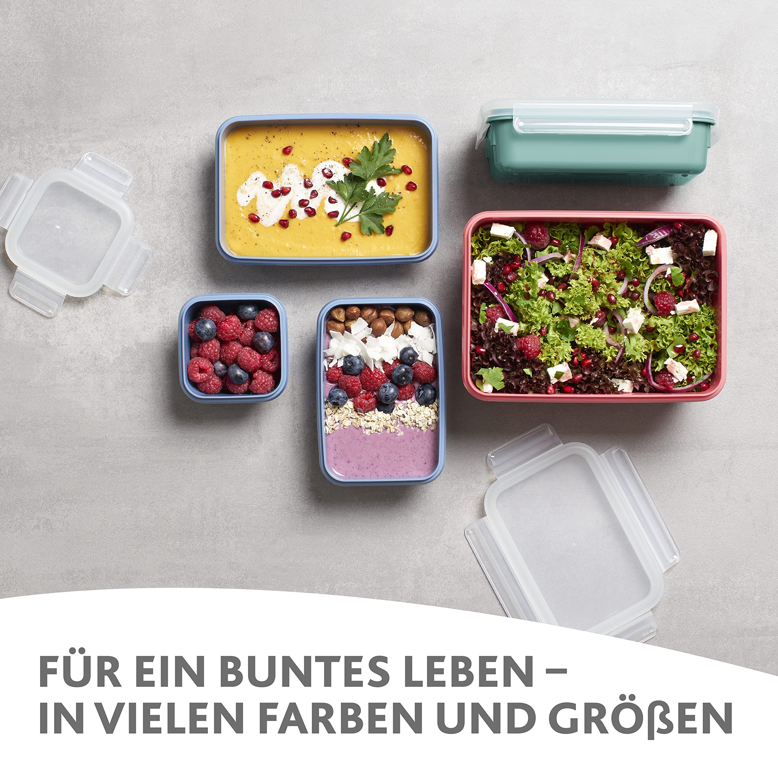 emsa-n10309-clip-close-color-edition-4-teiliges-frischhaltedosenset-0-2-0-55-0-8 image 2